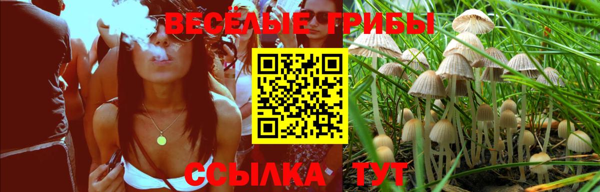 Псилоцибиновые грибы Cubensis  купить наркотик  Серпухов  Вход с VPN 